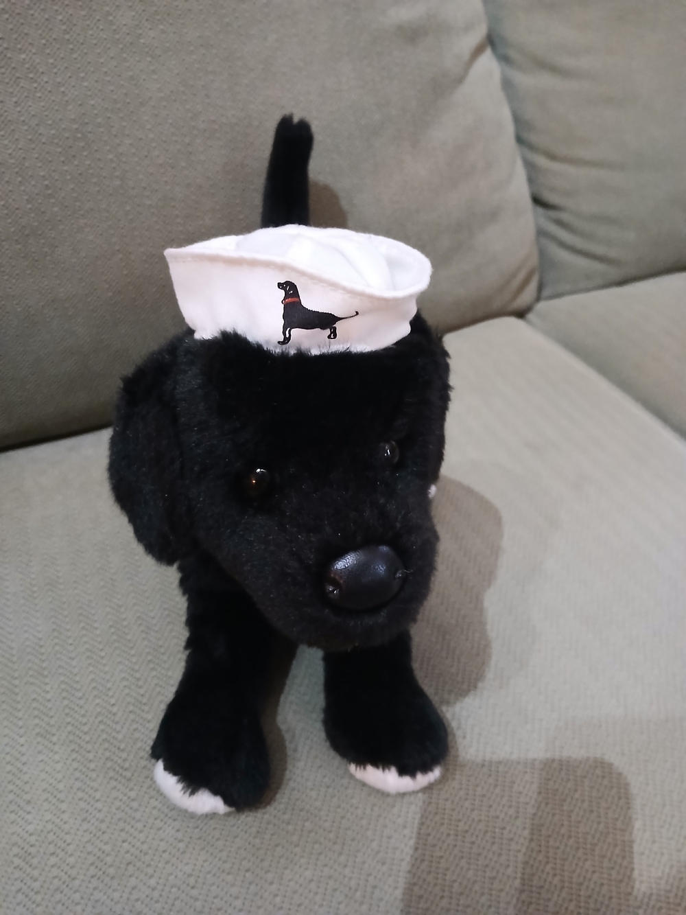 Sailor Black Plush Dog Made By Douglas Cuddle Toys Retired Highly Collectible